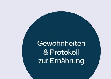Ansicht bzw. Button für PDF-Download Essgewohnheiten und Ernährungsprotokoll